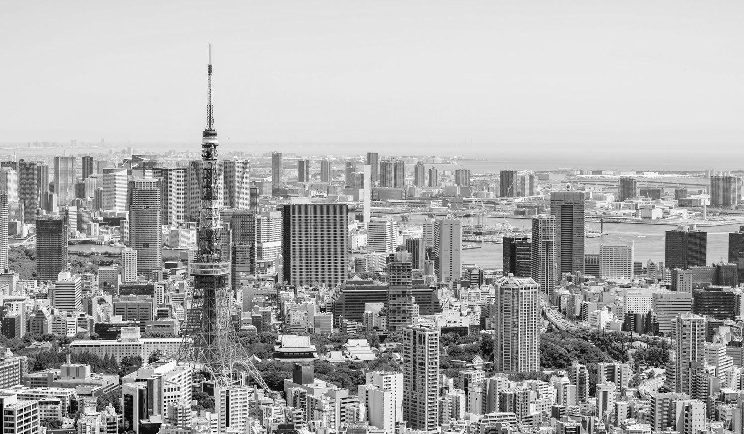 株式会社PALMORE メイン画像
